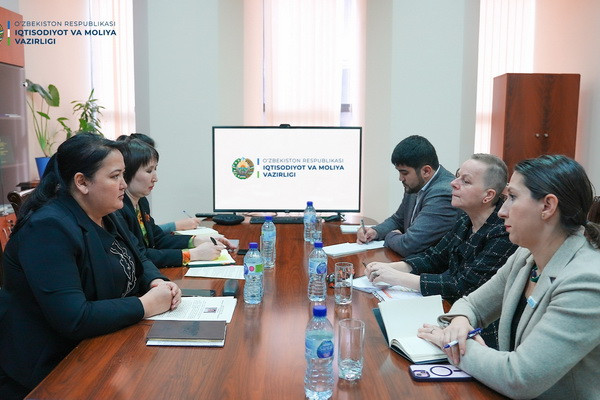Discussion on the development of gender budgeting with UN Women