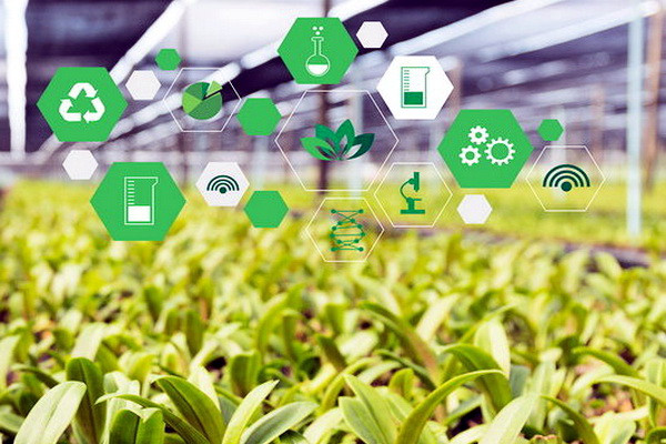 Создана компания Uzagrostar Xolding