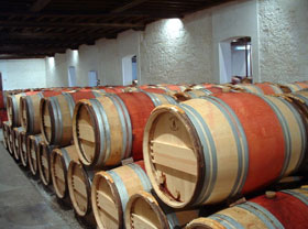 Uzbek wine-makers learn French experience  