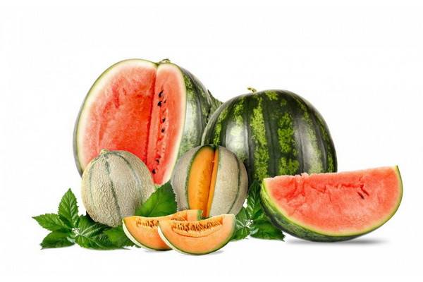 Uzbekistan exports melons and watermelons in the amount of 16.4 million US dollars