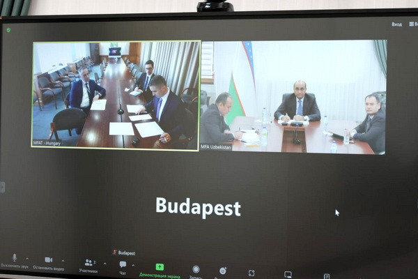 Состоялись переговоры с заместителем госсекретаря по вопросам развития восточных отношений Министерства иностранных дел и торговли Венгрии