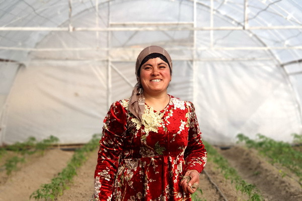 Smart Farming: the FAO’s experience in Uzbekistan