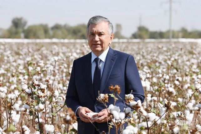 Shavkat Mirziyoyev to visit Tashkent region