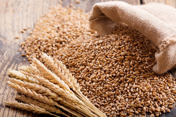 Uzbekistan becomes largest buyer of wheat from Kazakhstan in 2024
