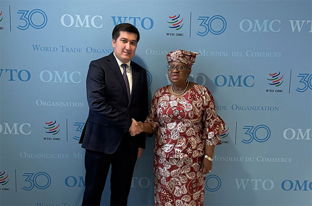 The Uzbek delegation meets with the WTO Director-General