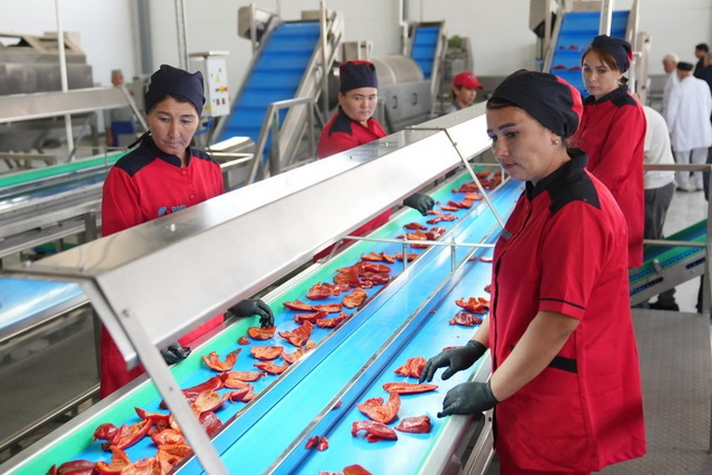 BMB Agro Plus and BMB Impex begin operations in Jizzakh region