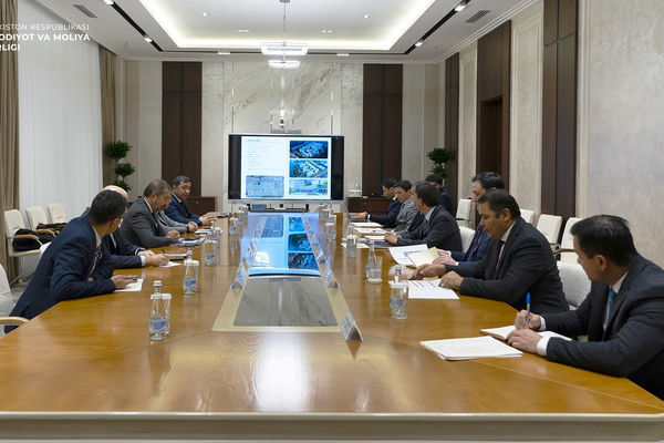 Uzbek DPM holds meeting with representatives of Rönesans Holding and Rönesans Healthcare Investment