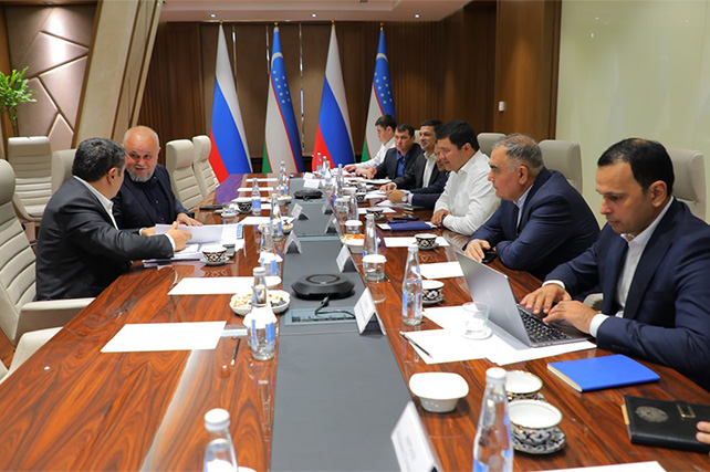 Uzbekistan and Russia identify key areas of energy cooperation