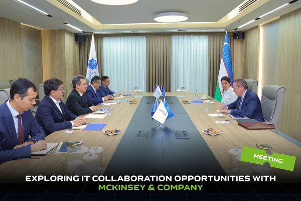 Обсуждены вопросы сотрудничества с компанией McKinsey & Company в IT-сфере