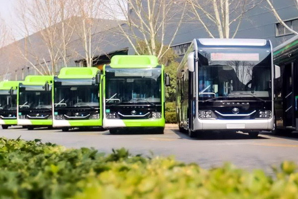 Ministry of Transport has been instructed to purchase at least 1,200 more buses