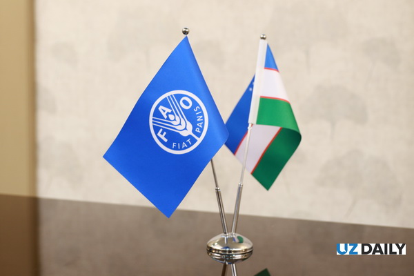 ФАО и Узбекистан укрепляют партнёрство для устойчивого развития сельских районов и повышения продовольственной безопасности к 2030 году