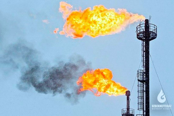 «Узбекнефтегаз»: на месторождении «Алан» планируется запустить 14 новых скважин