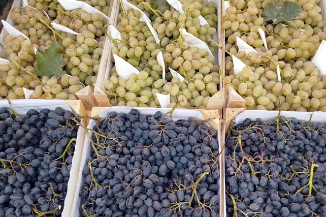 В 2025 году Узбекистан собрал почти 2 млн. тонн винограда