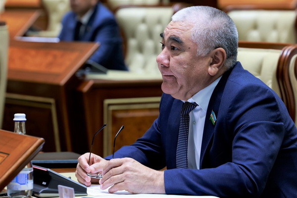 В Кабинет Министров направляется парламентский запрос по некоторым вопросам трудовой деятельности в порядке самозанятости