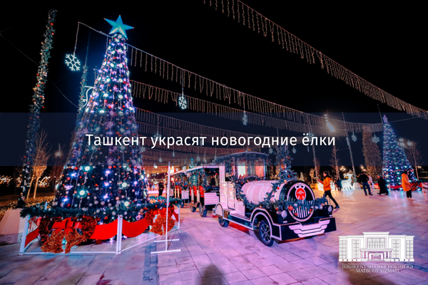 Стали известны локации праздничных ёлок в Ташкенте