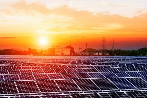 12 international companies expressed interest in participating in the tender for the construction of a solar power plant in Guzar district