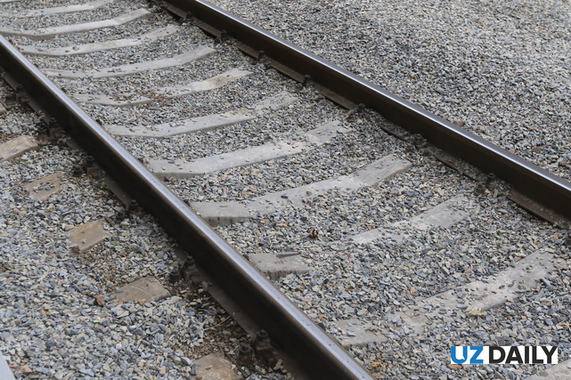 В январе число грузовых поездов Китай-Европа, прошедших через Демонстрационную зону Китай-ШОС, увеличилось на 24,5%.