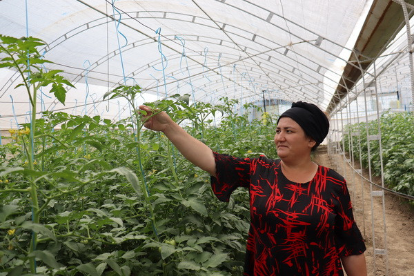 FAO holds a Field Day in Namangan region