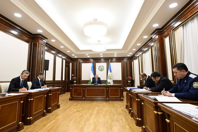 Uzbek President discusses measures to enhance energy efficiency