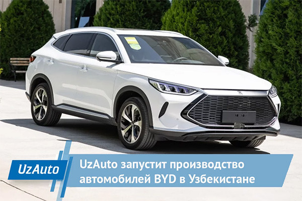 Дилеры BYD не будут оказывать гарантийное обслуживание «серых» автомобилей