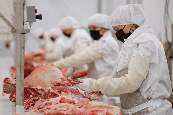 Environmental impact of meat production