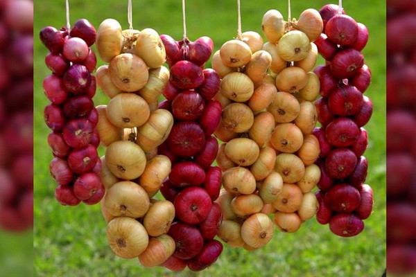 Uzbek Ministry of Agriculture comments on onion price surge