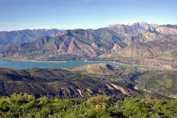 Ecotourism services to be launched in nature reserves, national parks and forestry areas