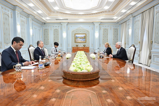 President of Uzbekistan meets head of ODIHR OSCE mission