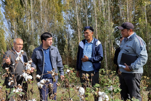 Aziz Voitov: “Сotton prices are determined in Uzbekistan by the free market”