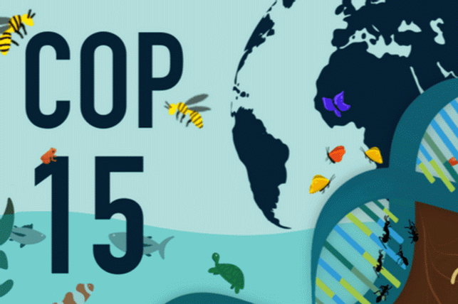 Uzbekistan Champions International Protection for Striped Hyena