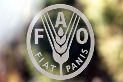 Bishkek hosts regional agriculture workshop