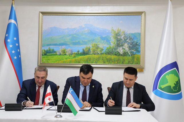 O‘zbekiston turizmini 2040-yilgacha rivojlantirish strategiyasi ishlab chiqiladi