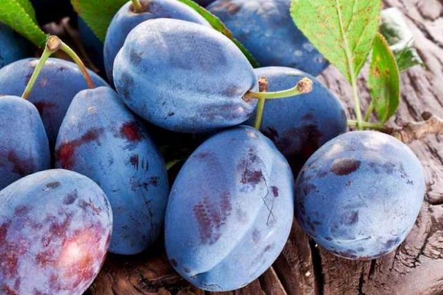Uzbekistan exported US$24.3 million worth of plums