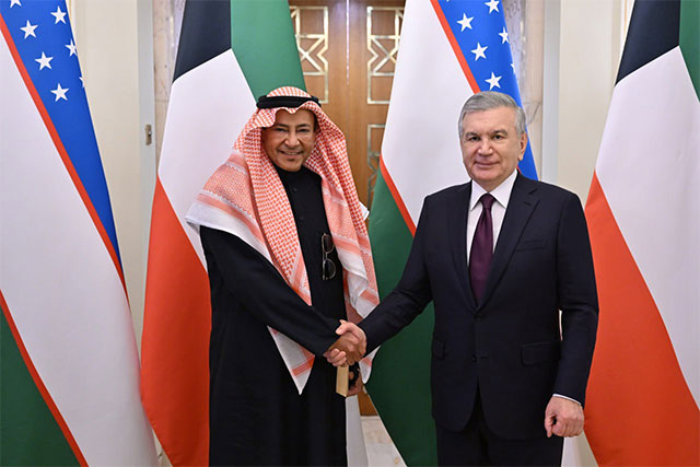 President of Uzbekistan meets with the head of Gulf Care General Trading