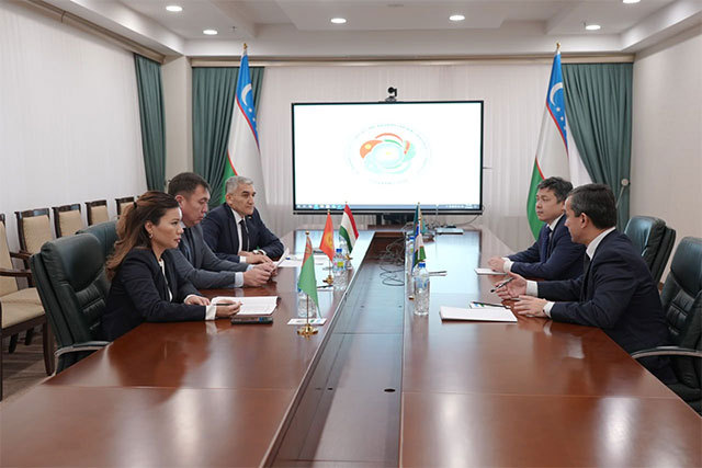 Preparations for the 7th Consultative Meeting of Central Asian Leaders Discussed in Tashkent