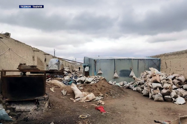 Illegal gold mining activities uncovered in Navoi region