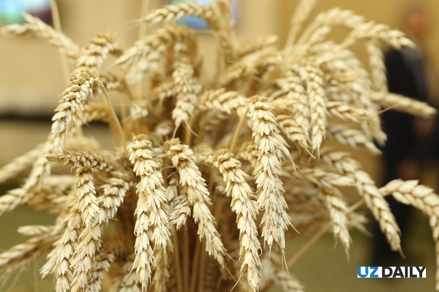 Uzbekistan reduces transit tariff for Kazakh grain to Afghanistan by 40%