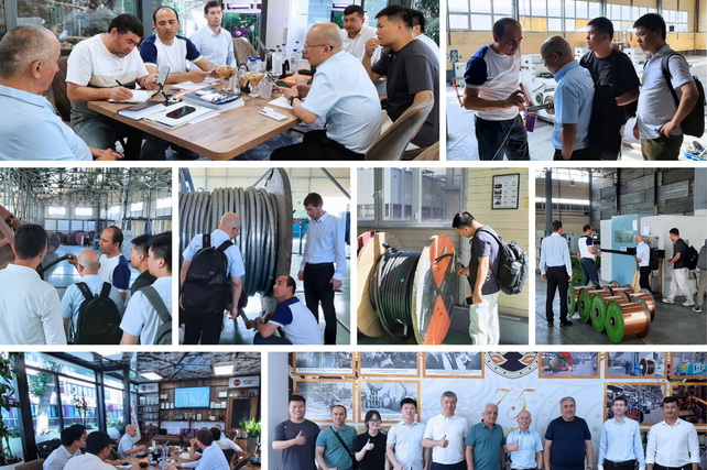 Representatives of Chinese company Mega Energy visited Uzbekistan’s cable industry enterprises