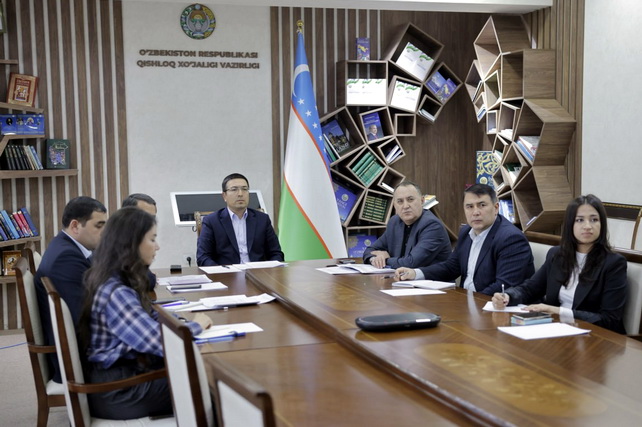 Uzbekistan-Afghanistan: Current issues of cooperation discussed