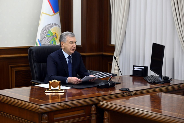 Uzbekistan President highlights key environmental goals for 2025