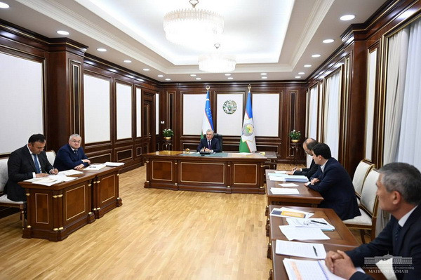 Plans in the field of geology and mining industry are considered