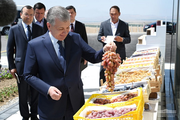 Uzbek President visits garden, created in Oltiariq