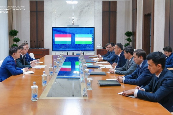 A meeting takes place with the Minister of Finance of Hungary