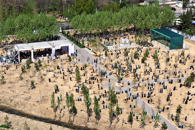 Uzbek MPs to Receive 412 Million Soums for Local Green Zones