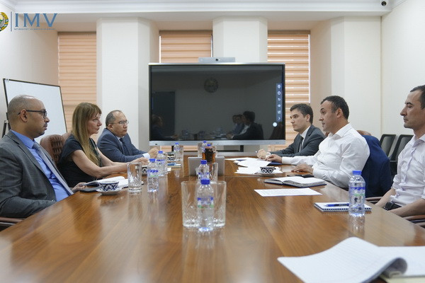 Projects implemented in cooperation with UNDP discussed