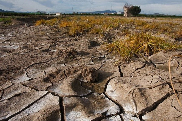 How to generate income from degraded desert lands?