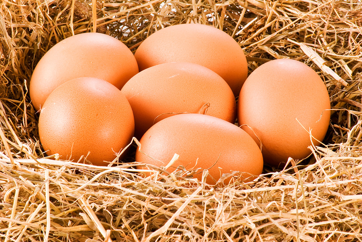 Uzbekistan produces 8.05 billion eggs in 2021