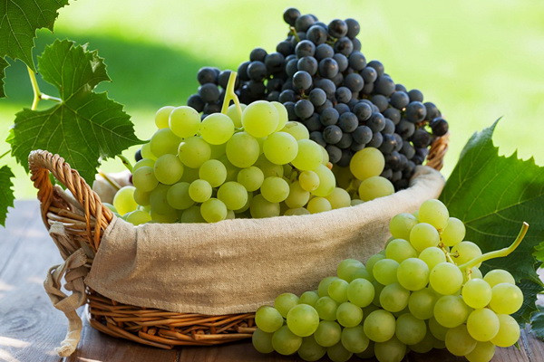 The volume of grape production in Uzbekistan increased by 2.7%