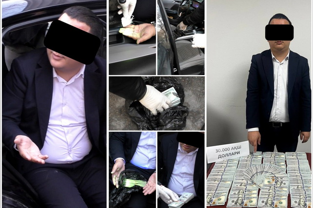 Bank Employee Detained in Tashkent Region for Attempted US$110,000 Bribe