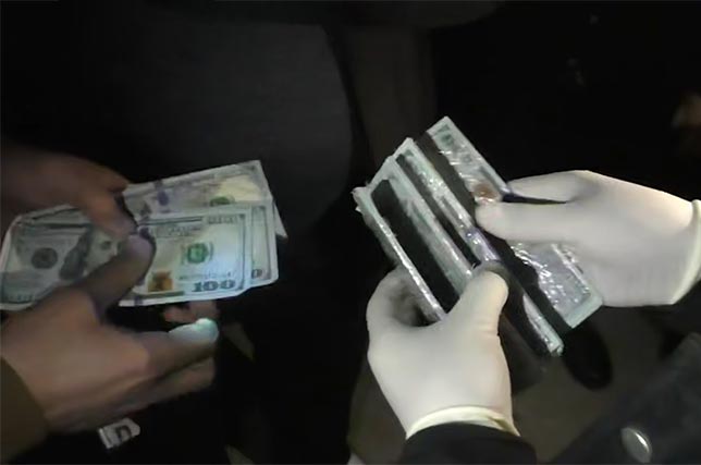 Counterfeit Dollar Operation Shut Down in Navoi Region and Tashkent